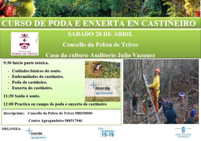 Curso de Poda e Enxerta en Castiñeiros