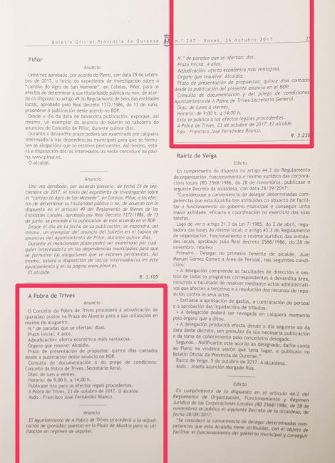 Adxudicación de dous postos na Praza de Abastos da Pobra de Trives