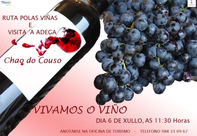 Visita á Adega Chao do Couso e os seus viñedos