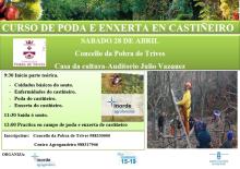 Curso de Poda e Enxerta en Castiñeiros