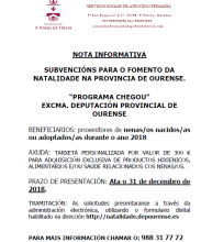 Programa de axudas a natalidade, "chegOU"