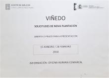 Aberto o prazo de solicitudes de nova plantación de viñedo
