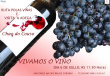 Visita á Adega Chao do Couso e os seus viñedos